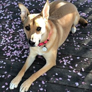 Meet your Posher, Kate